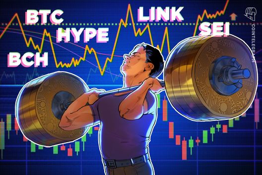 هدف بیت کوین برای بالاترین هفتگی نزدیک است: آیا Hype ، BCH ، Link و SEI دنبال می کنند؟