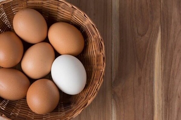 آیا مصرف زرده تخم مرغ برای کهنسالان مضر است